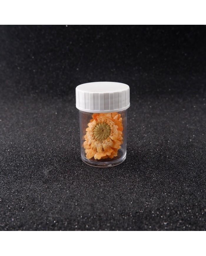 Kurutulmuş Papatya - Oranj 10 Adet