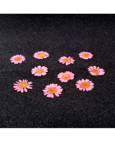 Kurutulmuş Papatya - Pembe 10 Adet