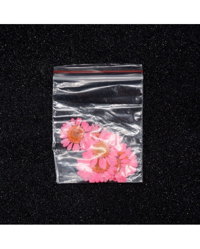 Kurutulmuş Papatya - Pembe 10 Adet