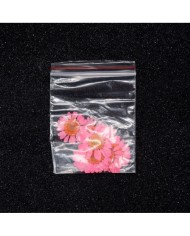 Kurutulmuş Papatya - Pembe 10 Adet