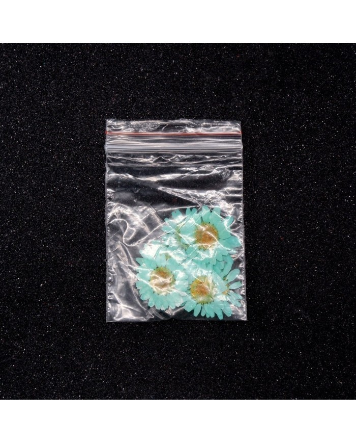 Kurutulmuş Papatya -Turkuaz Mavi 10 Adet