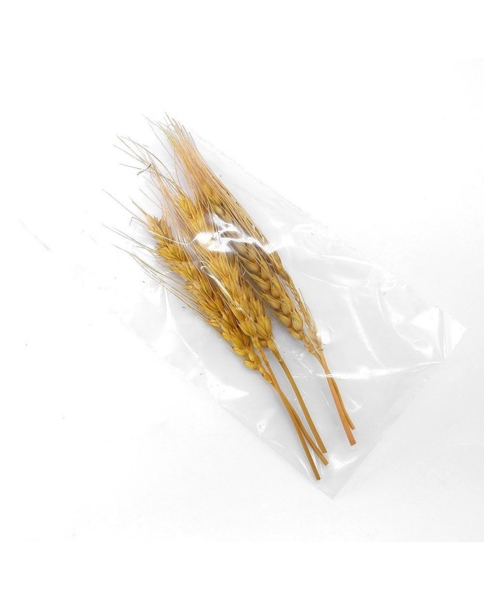 Kurutulmuş Çiçek - Kuru Başak Otu