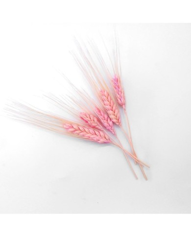 Kurutulmuş Çiçek - Kuru Başak Otu