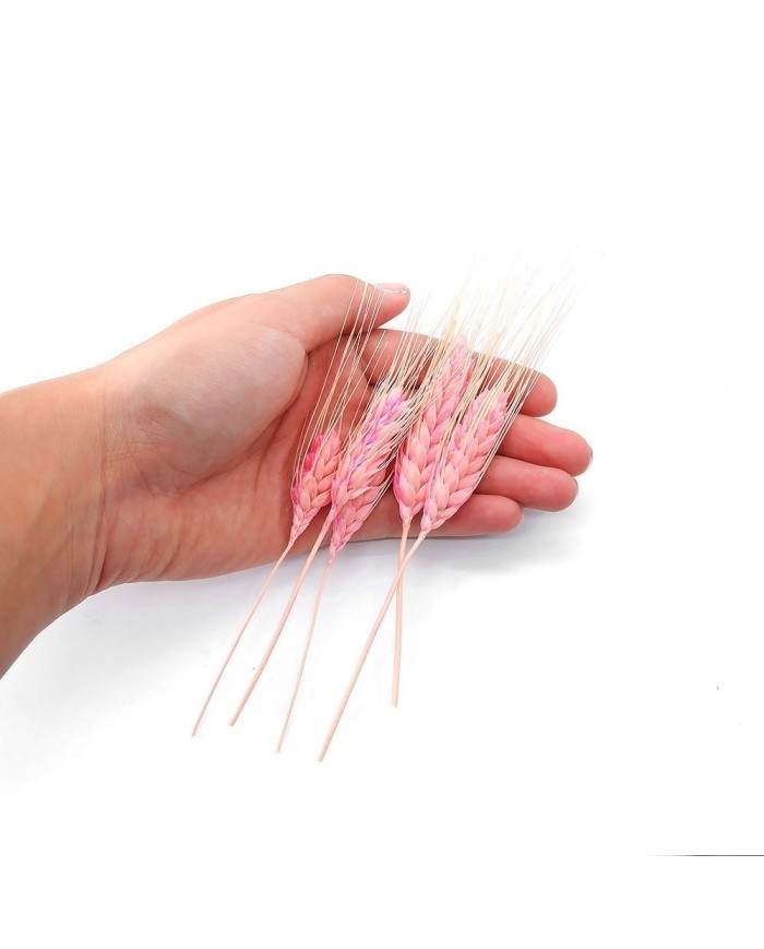 Kurutulmuş Çiçek - Kuru Başak Otu