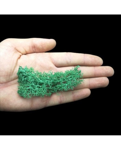 Kurutulmuş Yosun Yeşil - 5 gr