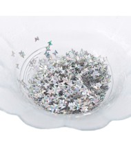 Mini Kelebek Gümüş Pul Paketi - 5 gram - Epoksi Süsleme Pulu