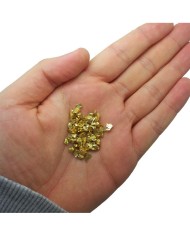 Cam Kırığı  GOLD Teneke Havyar - 100  gr KALIN