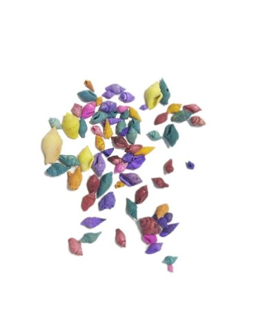 Deniz Kabuğu - Karışık Renk - 25 gr