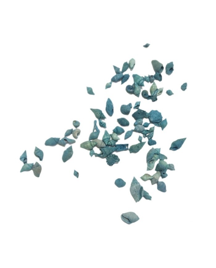 Deniz Kabuğu - Mavi Renk 25 gr