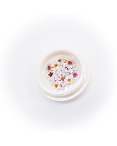 5D Renkli Mini Çiçek İlk Bahar Tonları