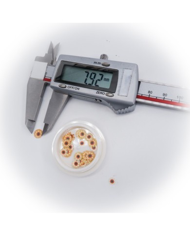 5D Renkli Mini  Papatya Turuncu