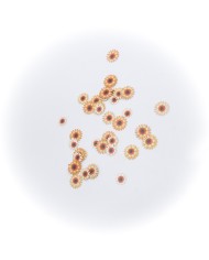 5D Renkli Mini  Papatya Turuncu