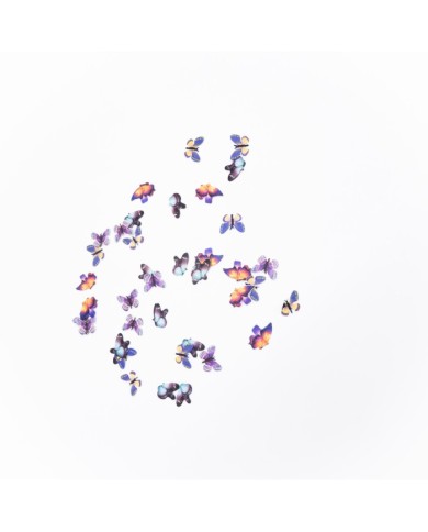 5D Renkli Mini Kelebek Gökkuşağı 5D Renkli Mini Kelebek Gökkuşağı