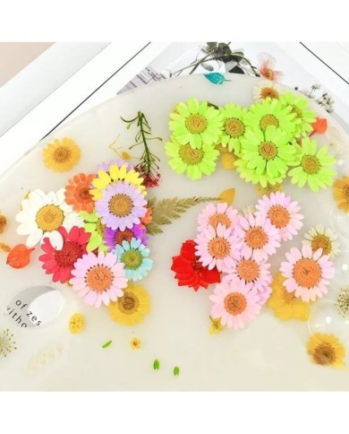 Kurutulmuş Papatya - Sarı 10 Adet