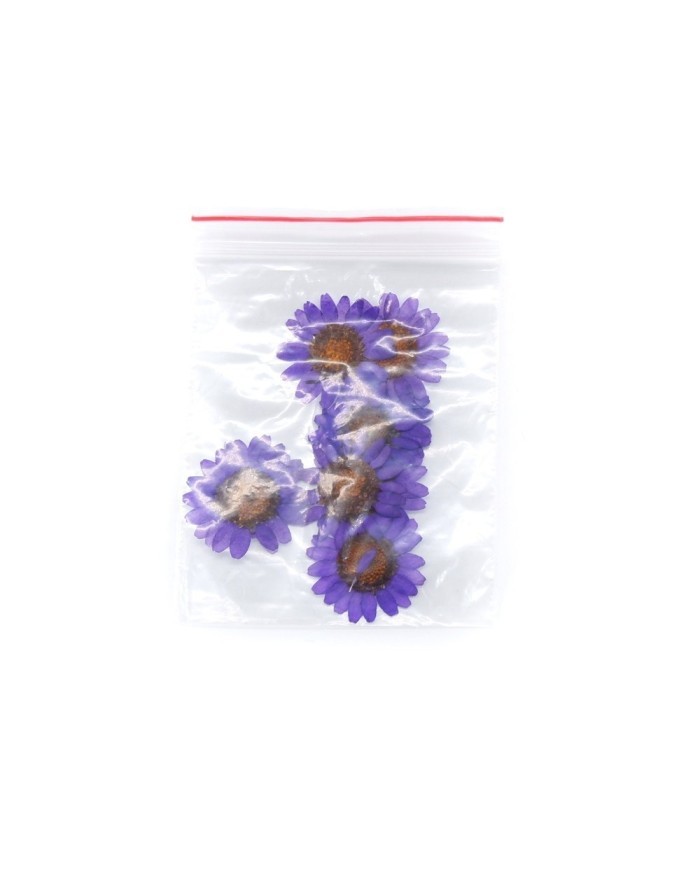 Kurutulmuş Papatya - Mor 5 Adet