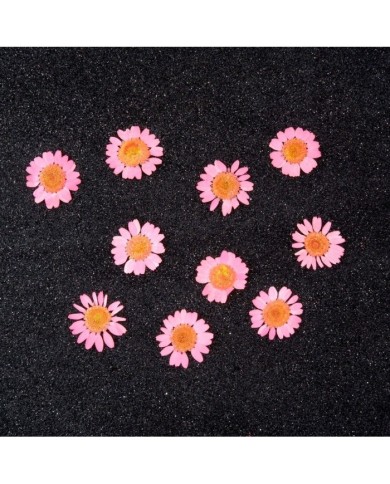 Kurutulmuş Papatya - Pembe 5 Adet Kurutulmuş Papatya - Pembe 5 Adet