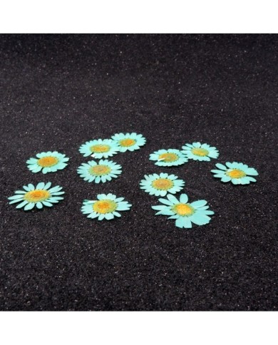 Kurutulmuş Papatya -Turkuaz Mavi 5 Adet Kurutulmuş Papatya -Turkuaz Mavi 5 Adet