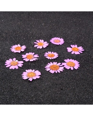 Kurutulmuş Papatya - Açık Pembe 5 Adet