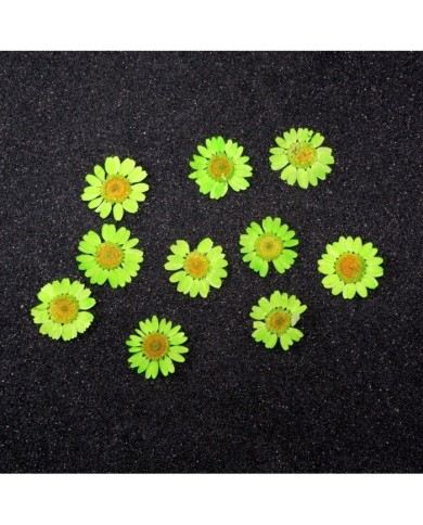 Kurutulmuş Papatya - Fıstık Yeşil 5 Adet