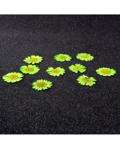 Kurutulmuş Papatya - Fıstık Yeşil 5 Adet