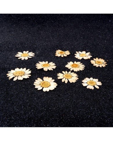 Kurutulmuş Papatya - Krem 5 Adet