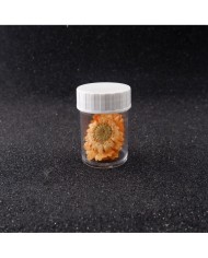 Kurutulmuş Papatya - Oranj  5 Adet