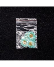 Kurutulmuş Papatya -Turkuaz Mavi 5 Adet