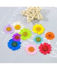 Kurutulmuş Papatya - Sarı 5 Adet