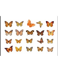 1 Paket - Kelebek Sticker