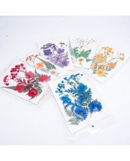 Beyaz Kuru  Çiçek  Papatya Dal Cipso Set