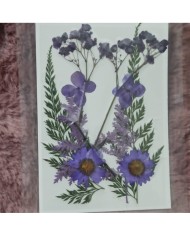 mor Kuru  Çiçek  Papatya Dal Cipso Set