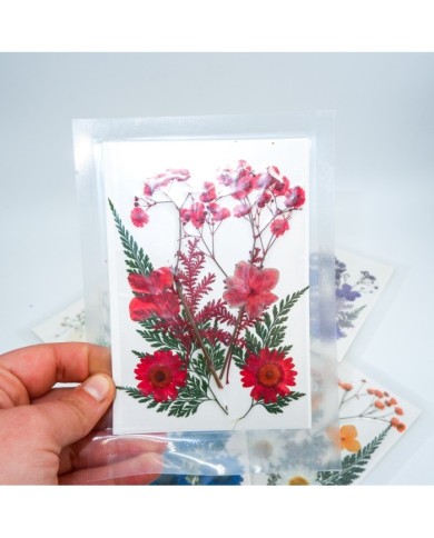 Kırmızı Kuru  Çiçek  Papatya Dal Cipso Set