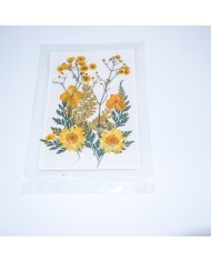 Sarı Kuru  Çiçek  Papatya Dal Cipso Set