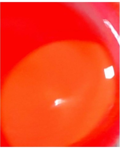 Alkol Bazlı Epoksi Mürekkep Boya 15 cc - Neon Turuncu Alkol Bazlı Epoksi Mürekkep Boya 15 cc - Neon Turuncu