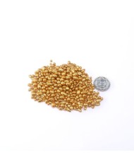 İnci Görünümlü Kaplama Taş - Gold - 25gr