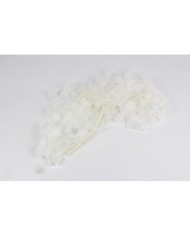 Kurutulmuş Japon çiçeği - Beyaz