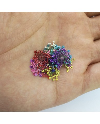 Sultan Otu - Kurutulmuş Çiçek Karışık Renkler - 15 adet Sultan Otu - Kurutulmuş Çiçek Karışık Renkler - 15 adet