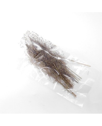 Kurutulmuş Çiçek - Dağ Tüyü Otu